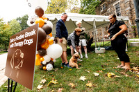 Take a Break with Therapy Dogs